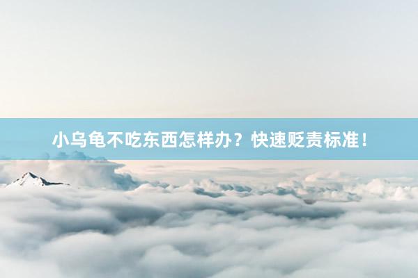 小乌龟不吃东西怎样办？快速贬责标准！